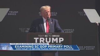 New poll shows Trump top choice for SC GOP voters, Haley overtakes DeSantis