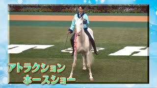 解説付きでショーの魅力をお届け！東京競馬場・アトラクションホースショー～前編～