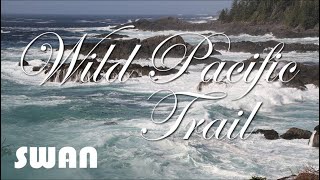 SWAN【冬戀】Wild Pacific Trail, Ucluelet 懷念金曲 北美風光 Amazing Views Memorable Songs