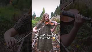 Schindler's List #violinist #musicvideo #sad #violin 🎶🥹🍁🎻