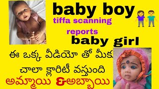 అబ్బాయి మరియు అమ్మాయి Tiffa స్కానింగ్ రిపోర్ట్స్ #ఈ ఒక్క వీడియో తో మీ డౌట్స్ అన్ని క్లియర్ అవుతాయి