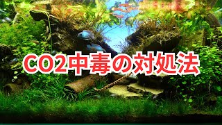 【二酸化炭素を添加している方必見！】CO2中毒の対処法