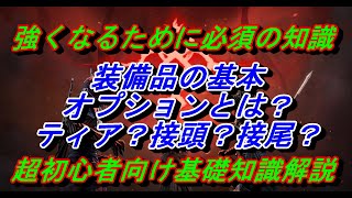 【アンディセンバー】装備品の基本『強くなる方法　オプションの基礎』初心者向け基礎知識解説【UNDECEMBER】