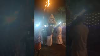 പൂവത്തൂർ ദേവീക്ഷേത്രത്തിലെ ഉത്സവ ഘോഷയാത്ര'