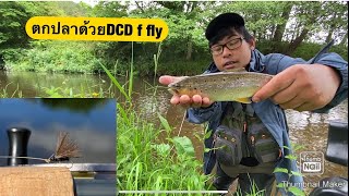 ตกด้วยฟลายมาซ้ำหมายเดิม Fly fishing