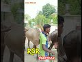 🔥r.g.r சித்திரங்குடி 🔥