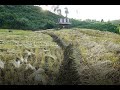 Life in the countryside | Harvesting | Mountain village | Thailand village