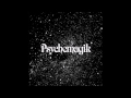 mink u0026 shoes psychemagik dub mix