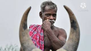 புஞ்சை உண்டு நஞ்சை உண்டு பொங்கிவரும் கங்கை உண்டு பஞ்சம் மட்டும் இன்னும் இங்கு மாறவில்ல - எங்க பாரதத்