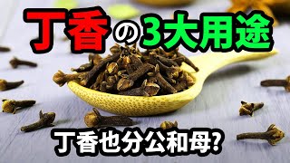 丁香也分公和母? 丁香的3大用途，注意事項與使用禁忌 【健康你知多少】#丁香功效 #丁香用途