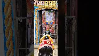 Karpur Gauram #mahadev #shivshankar #bhakti #bhajan #meditation #mantra #shivratri #viral #shorts
