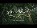 Borneo Avatar [ENG SUBS]