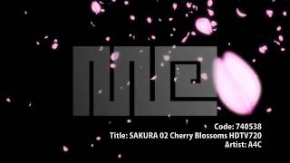 CG動画素材『桜・花びら』/ Royalty-Free Cherry Blossoms Animation - MotionElements.com