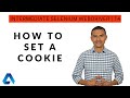 How to set a cookie in Selenium WebDriver