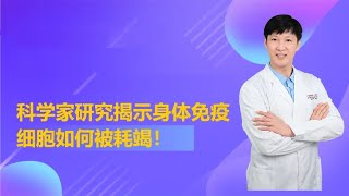 你的免疫细胞如何被耗竭？科学家揭示甘露糖代谢重塑T细胞