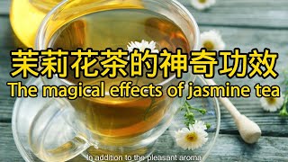 茉莉花茶的功效和作用 The efficacy and function of jasmine tea