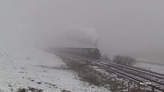 B1 61306 Mayflower emerges out of the fog on her Mainline loaded test run 24/1/19.