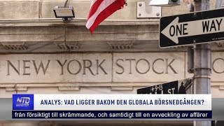 Analys: Vad ligger bakom den globala börsnedgången? | NTD NYHETER