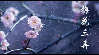 梅花三弄 / Three Lanes of Plum Blossoms - A Beautiful Love Song with Beautiful Ancient Style Lyrics