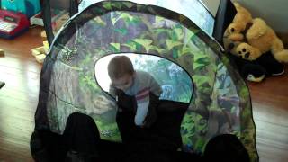 Dinosaur Tent!