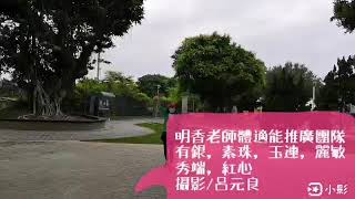 全民防疫運動（玩弄階梯）吳明香老師編排帶動