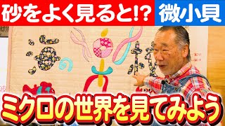 【微小貝の神秘世界】子供たちと探る小波海水浴場の秘密 日本財団 海と日本PROJECT in しまね 2023 #025