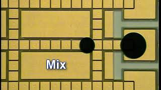 Baebies | Digital Microfluidics - Electrowetting Droplet Operations