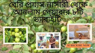 বিখ্যাত বেরি প্রয়াস নার্সারী থেকে ৮ ধরনের পেয়ারার জাত আনলাম || Berry Proyas Nursery ||2024||