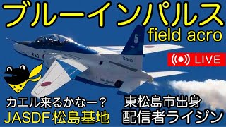 🔴Liveブルーインパルスfield acro 松島基地【ライジン】#航空自衛隊#ブルーインパルス#松島基地航空祭