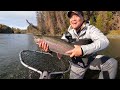 alaska day 4 fishing upper kenai for rainbow trout u0026 dolly varden kenai national wildlife refuge