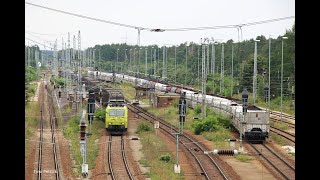 Bahnalltag in Hosena am 19.08.2021 - zarte Ladies und dicke Brummer!