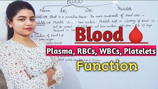 Blood And It's Components | Plasma, RBCs, WBCs, Platelets | Function of Blood | Easy Explanation