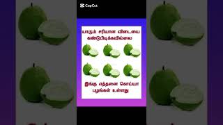 சரியான பதிலை சொல்லுங்கள் பார்க்கலாம்….????