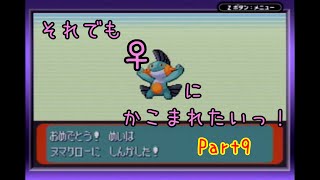 【実況】ポケットモンスターサファイア それでもメスにかこまれたいっ！ Part9