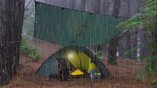 CAMPING in HEAVY RAIN with TENT and TARP