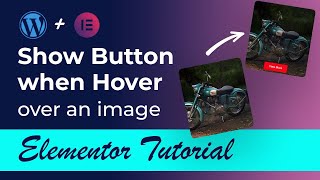 Show Button When hover over an image in elementor || Image hover effects in elementor