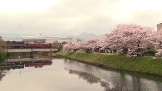 DLやまぐち号　桜咲く山口線を急遽代走