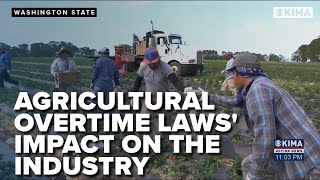 Agriculture Overtime Laws are having a Major Impact on the Industry