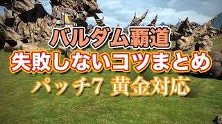 【FF14黄金】Lv65バルダム覇道失敗しないコツまとめ【サクッと復習予習! レベリングルーレット パッチ7】