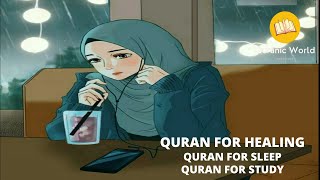 [Lofi Quranic] Quran for Study Session 📖📚 / Relaxation Deep Sleep - Stress-Free