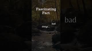 Unlock the Secrets of Your Mind – Fascinating Psychology Facts!"