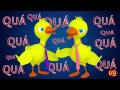 Quarteto Amigos - 4 Patos