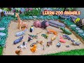 Zoo Animals for Kids: Mud Adventure Rescue! Moose, Ostrich, Rhinoceros & More 🦌🐅🐧