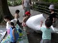 20060509 台北植物園媽媽咪呀123大聯誼