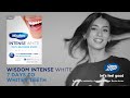 wisdom intense white teeth whitening strips