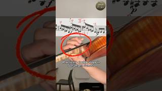 Double stops: the key to Speed \u0026 Intonation - Schumann Scherzo |#violin #violinist #violinista