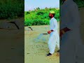 وري ڪا ياد آ تڙپي sindhi sindhisong song love shortvideo shortvideo viralvideo viralshorts