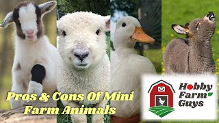 The Pros \u0026 Cons of Keeping Miniature Farm Animals