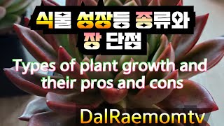 식물 성장등 종류와 장단점🪴Types of plant growth and their pros and cons