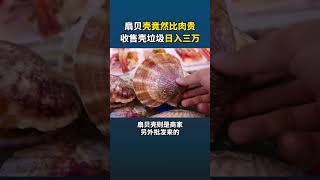 扇贝壳竟然比肉贵？收售壳垃圾日入三万!#商业思维 #营销 #赚钱项目 #赚钱方法